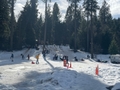 featured image thumbnail for post Fresh Pond, Pollock Pines Sledding